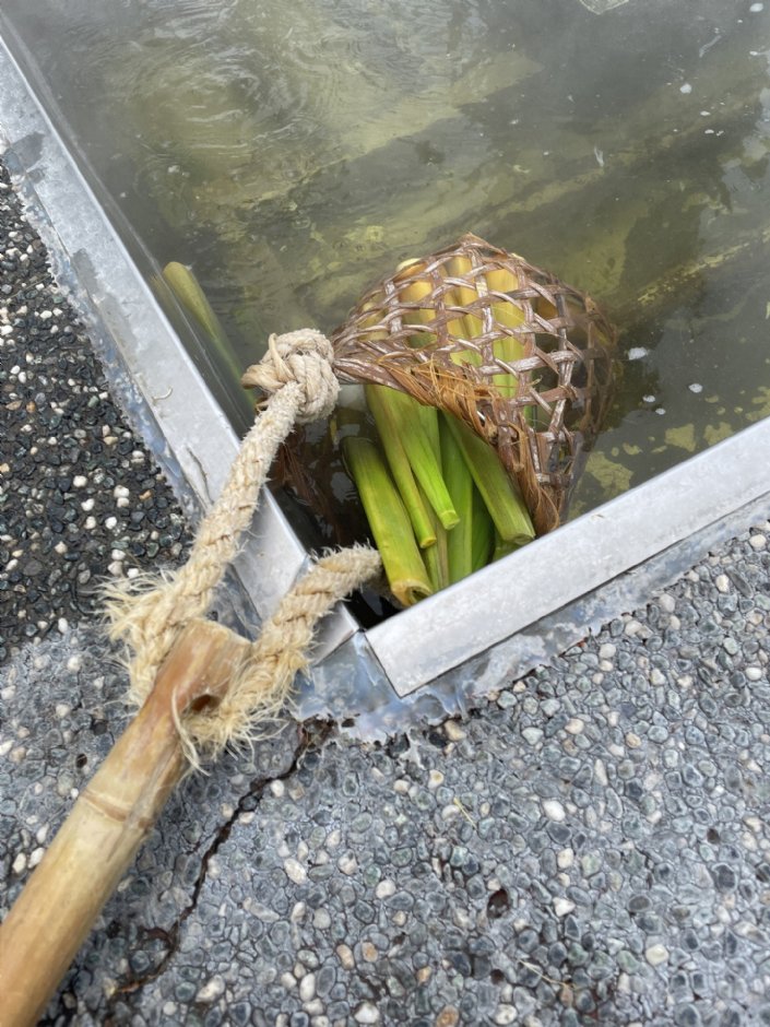 清水地熱公園(2024) 攝影：Eva隨手拍