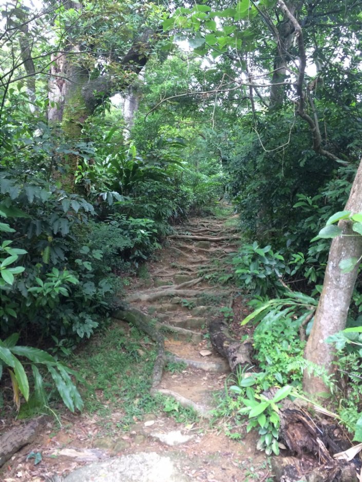 福州山公園 攝影：Eva隨手拍