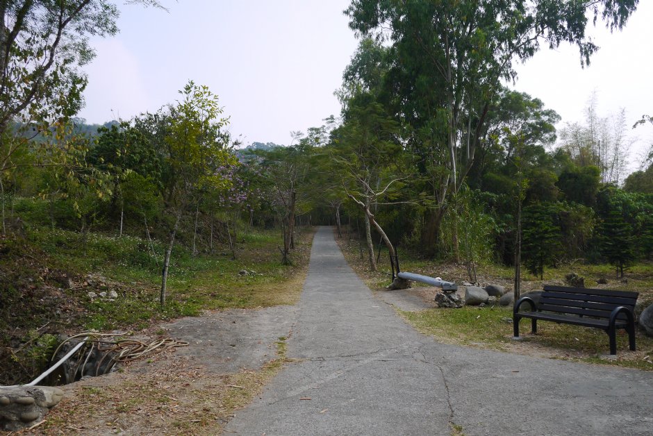 大崗山風景區生態區 攝影：三井