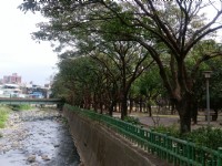 鶯歌陶瓷老街<br/> 攝影：Eva隨手拍