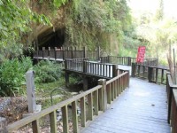 頭汴坑蝙蝠洞<br/> 攝影：照片來源 | 臺中觀光旅遊網