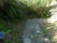 大石鼻山步道<br/> 攝影：Eva隨手拍