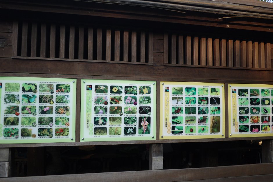 鳥松濕地公園賞鳥小屋 攝影：三井