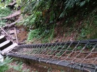 嶺腳寮山步道<br/> 攝影：Lu