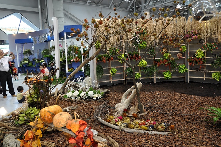 花博爭艷館-競花藝術(特展與花卉競賽) 攝影：amo