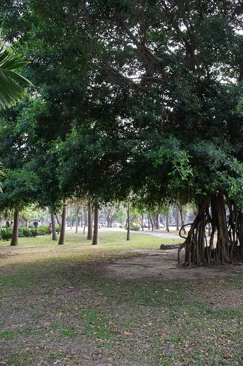 中央公園 攝影：Eva隨手拍