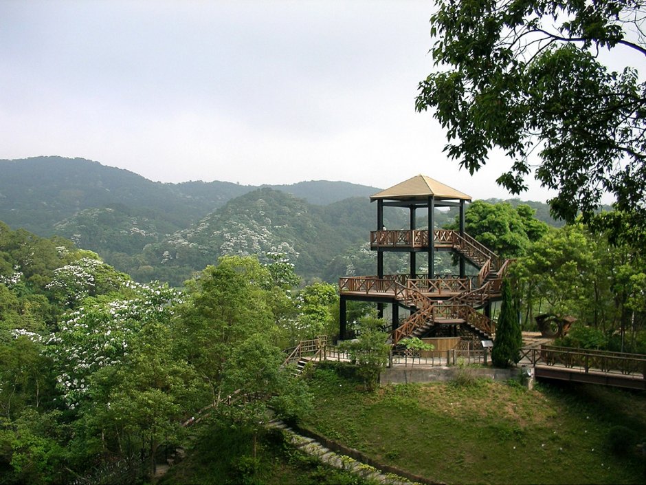 西湖渡假村觀湖樓 攝影：西湖渡假村 提供