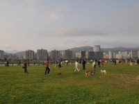 迎風狗運動公園<br/> 攝影：amo