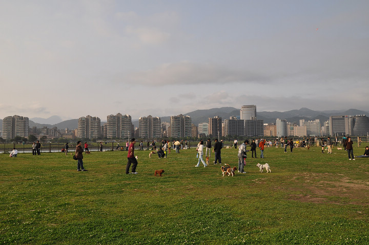迎風狗運動公園 攝影：amo