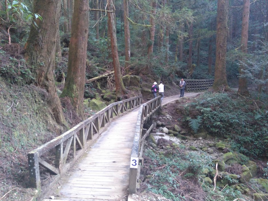 特富野古道 攝影：Lu