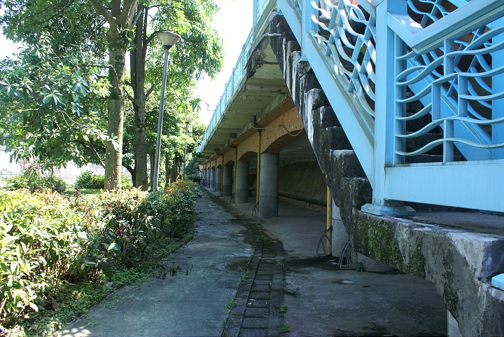 坪林親水公園 攝影：Eva隨手拍