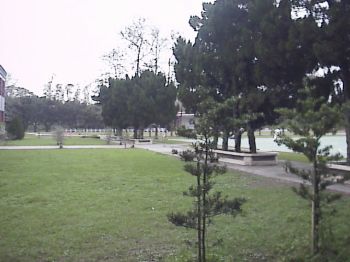 綠坪 攝影：郭香妙
