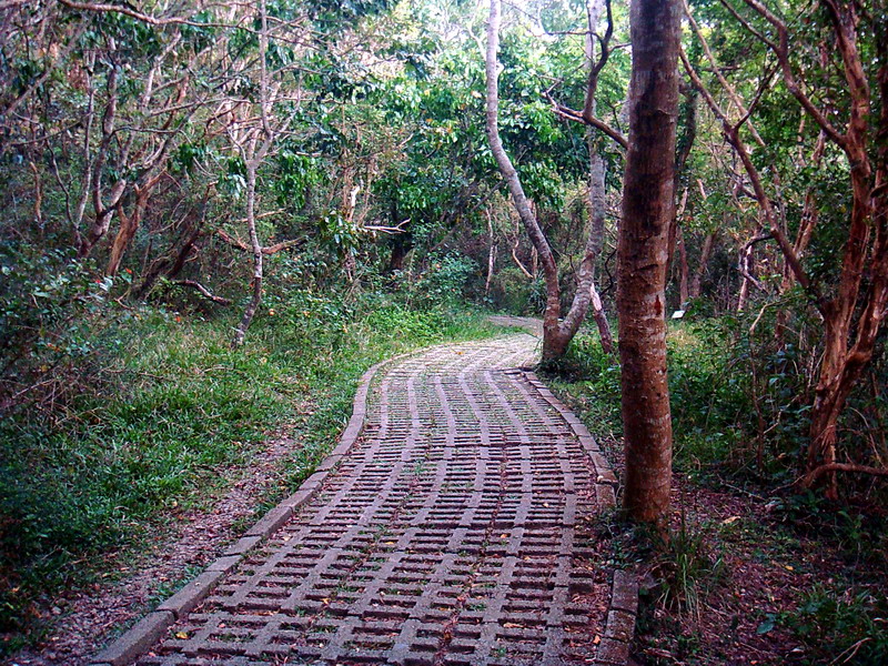 原始的自然風步道 攝影：余燕鳳