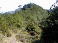 山丘<br/> 攝影：老山羊