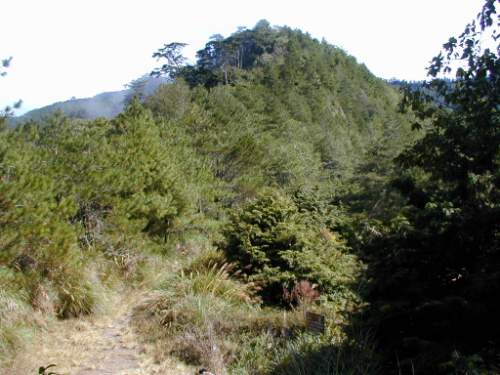 山丘 攝影：老山羊