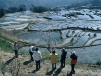 菁口01<br/> 攝影：金漢妮旅行社