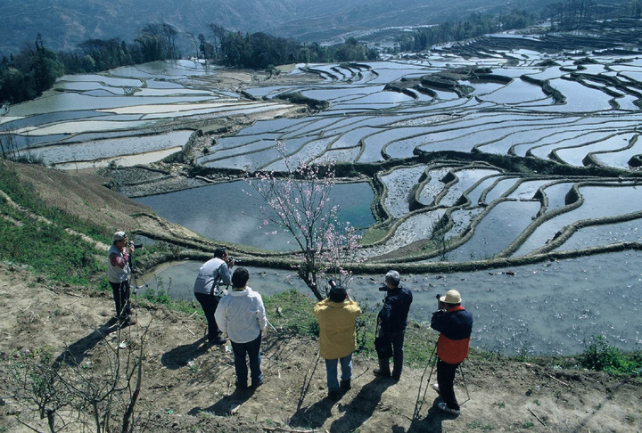 菁口01 攝影：金漢妮旅行社