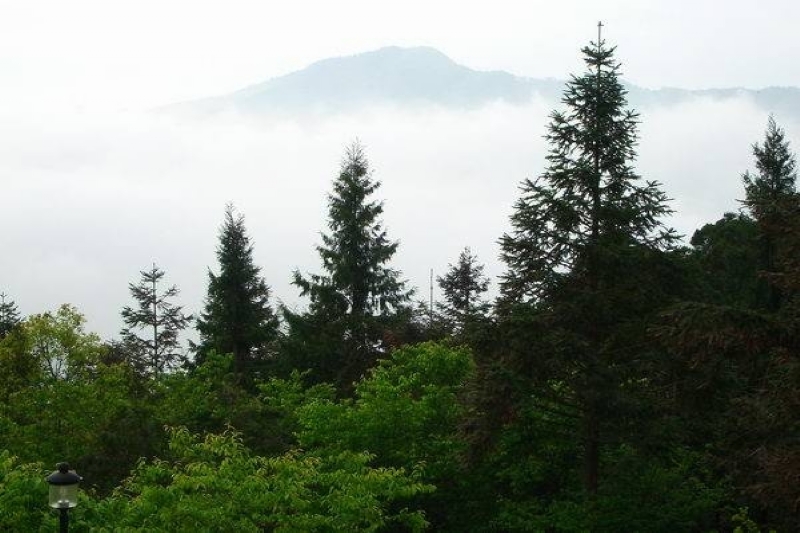 兩極景色 攝影：老山羊部落格
