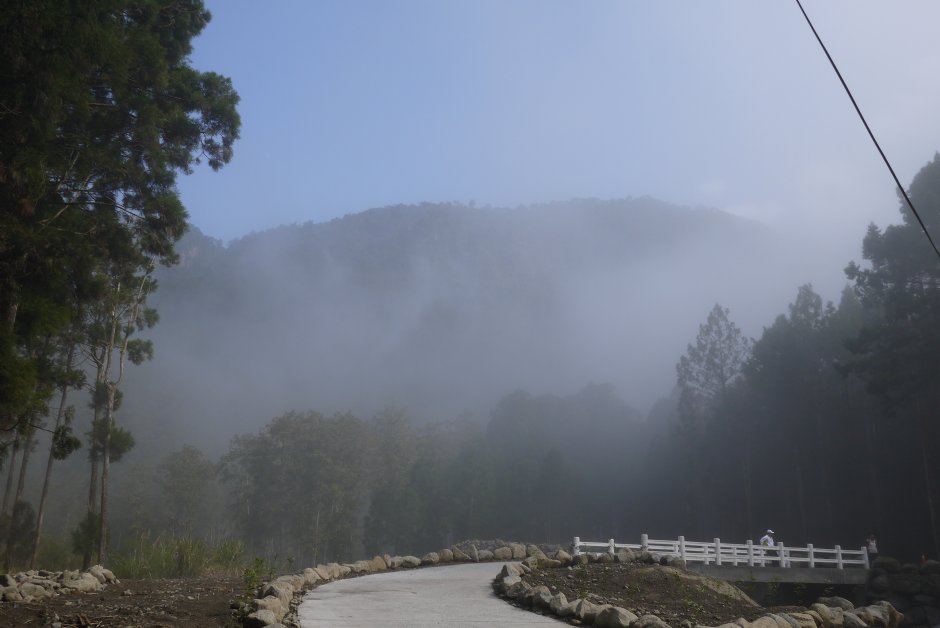 溪頭土石流遺跡 攝影：三井
