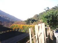 沙里仙溫泉農場一景<br/> 攝影：南投縣政府