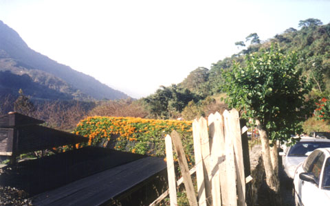 沙里仙溫泉農場一景 攝影：南投縣政府