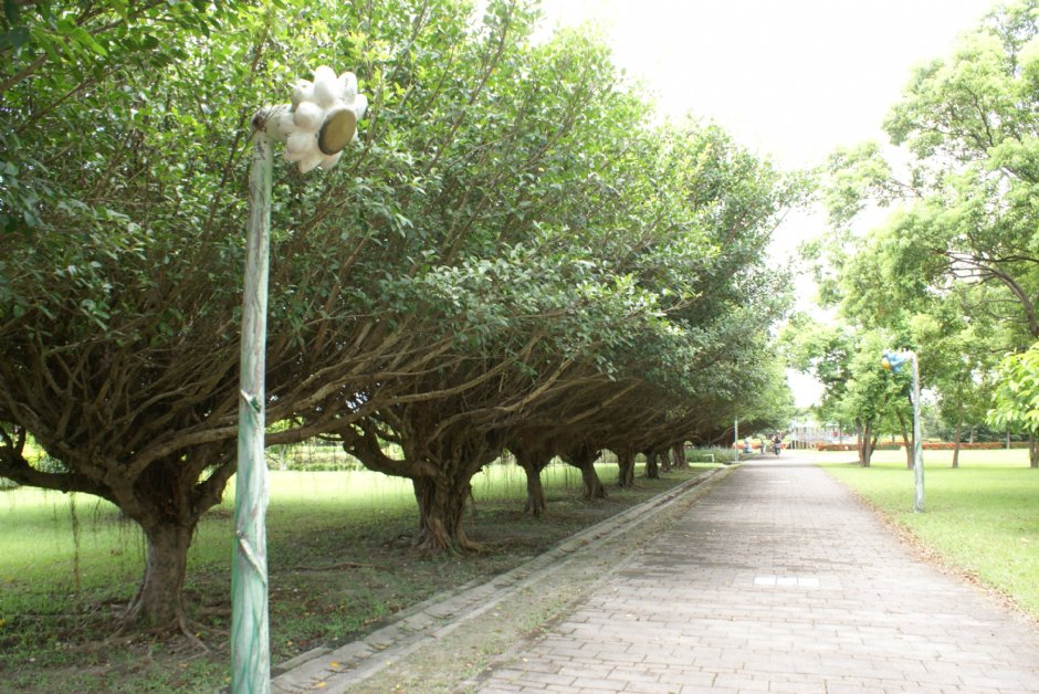 知卡宣森林公園 攝影：Eva隨手拍