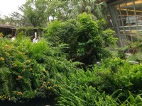 原生應用植物園<br/> 攝影：Louis
