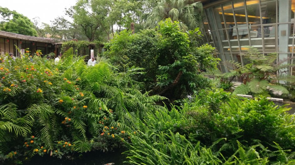 原生應用植物園 攝影：Louis
