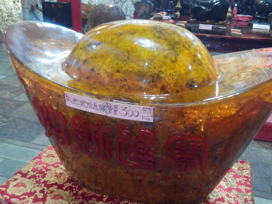 大元寶 攝影：Lu
