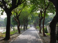虎尾糖廠外道路<br/> 攝影：Eva隨手拍