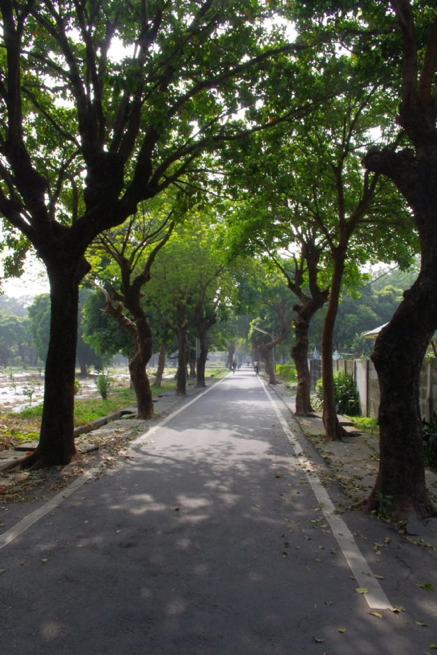 虎尾糖廠外道路 攝影：Eva隨手拍