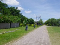 生態公園與舊鐵橋201407攝<br/> 攝影：Eva隨手拍