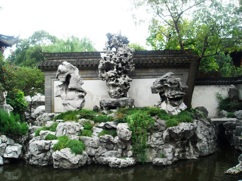 玉玲瓏近拍 攝影：余燕鳳
