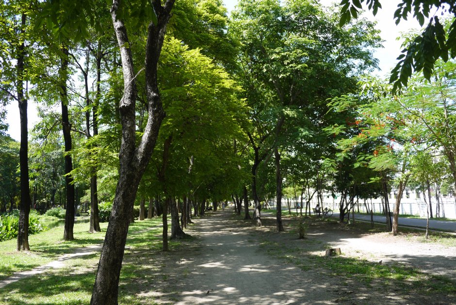 大東濕地公園 攝影：旅遊王攝影組