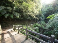 三民蝙蝠洞<br/> 攝影：桃園市政府觀光旅遊局 提供