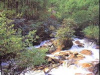 米亞羅風光-03<br/> 攝影：四川旅遊信息網