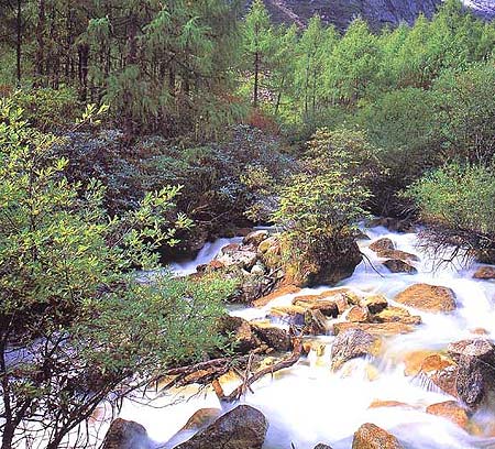 米亞羅風光-03 攝影：四川旅遊信息網