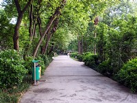 幽靜林道<br/> 攝影：方盛文