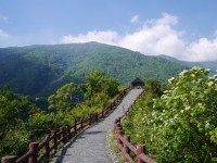 望夫崖涼亭<br/> 攝影：旅遊王攝影組