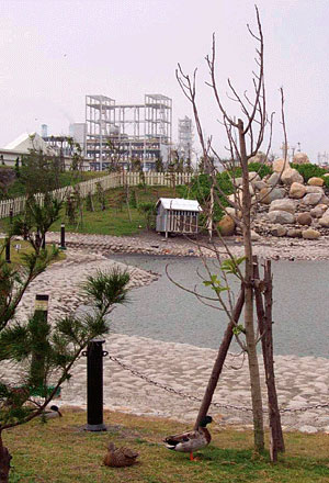公園內池塘 攝影：雲林縣政府