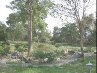 後花園一景<br/> 攝影：張弘穎