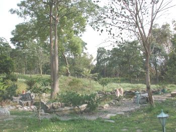 後花園一景 攝影：張弘穎