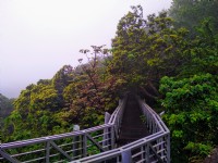 林梢步道<br/> 攝影：Lu