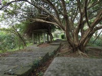 胡適公園