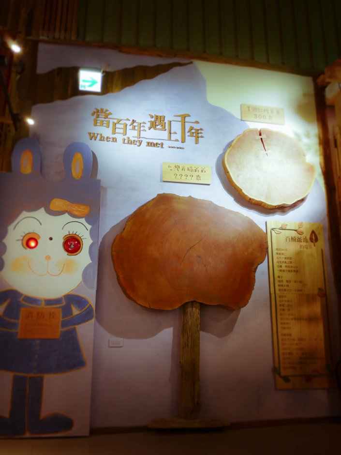肖楠 攝影：愛木村