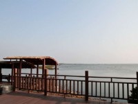 黑面琵鷺保護區<br/> 攝影：照片來源_台南旅遊網