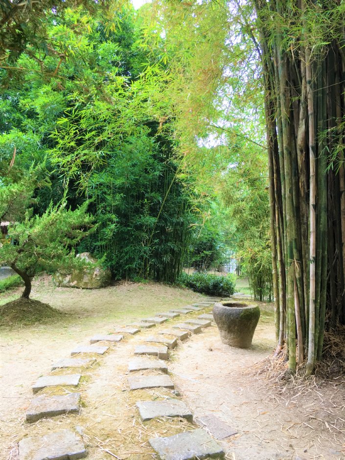 園區一景 攝影：青竹園 提供