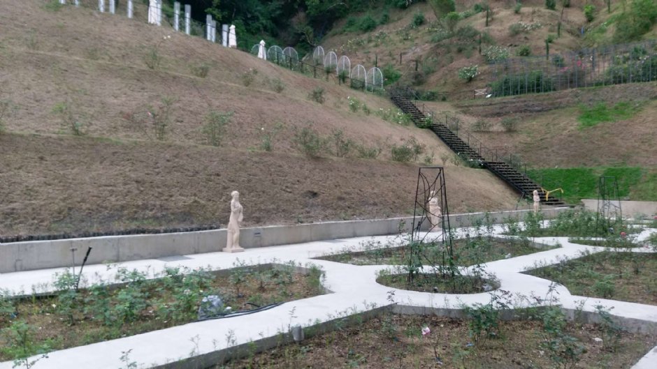 雅聞七里香玫瑰森林 攝影：Eva隨手拍