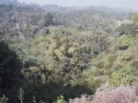 美麗山景<br/> 攝影：郭香妙