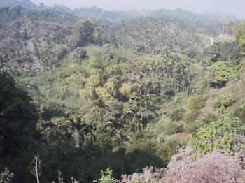 美麗山景 攝影：郭香妙